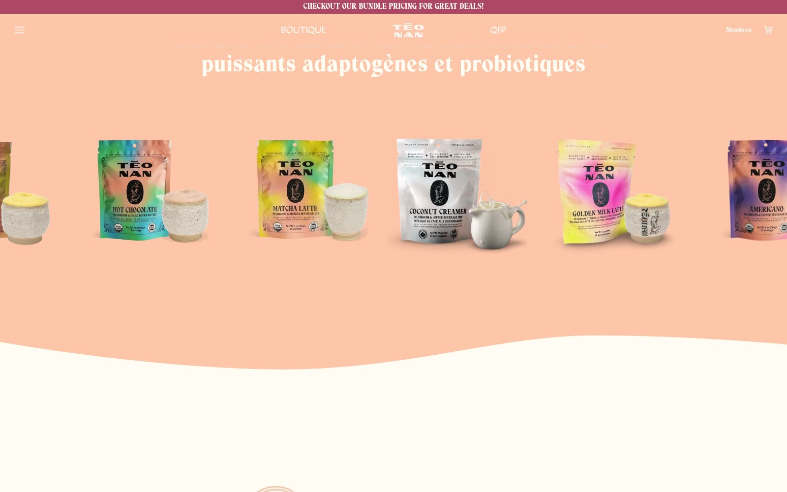 TĒONAN French storefront with translated navigation and product carousel