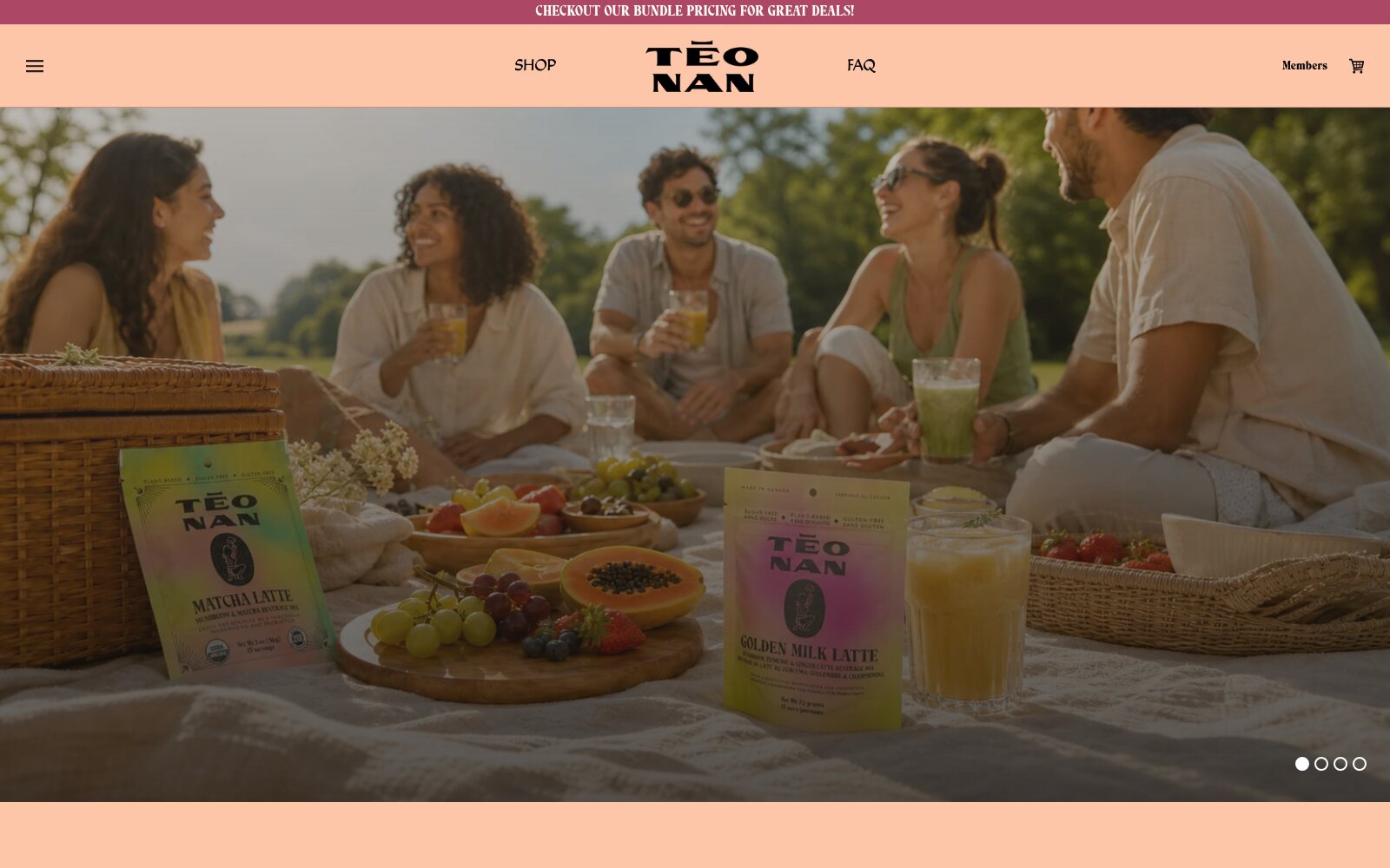 TĒONAN homepage hero — picnic spread with fruit, iced lattes and product pouches