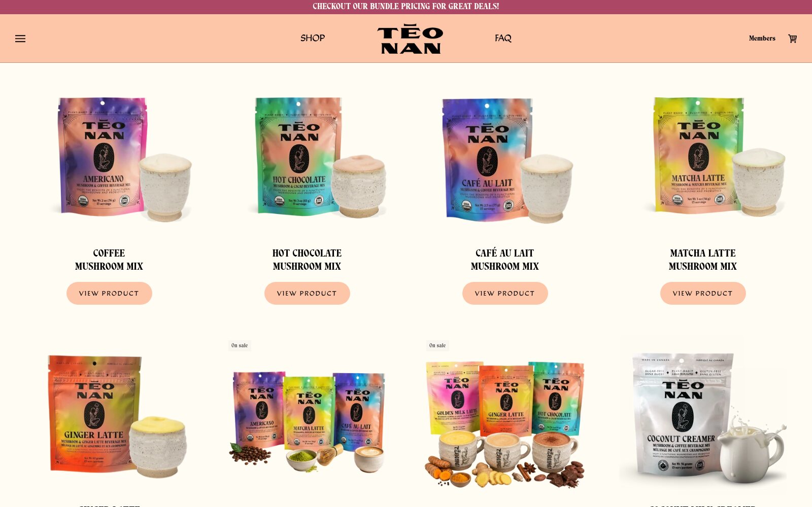 TĒONAN shop collection grid showing the iridescent pouch range on a bone background